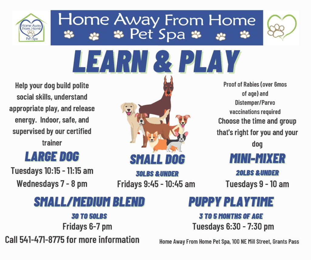 Learn and Play for website 012422