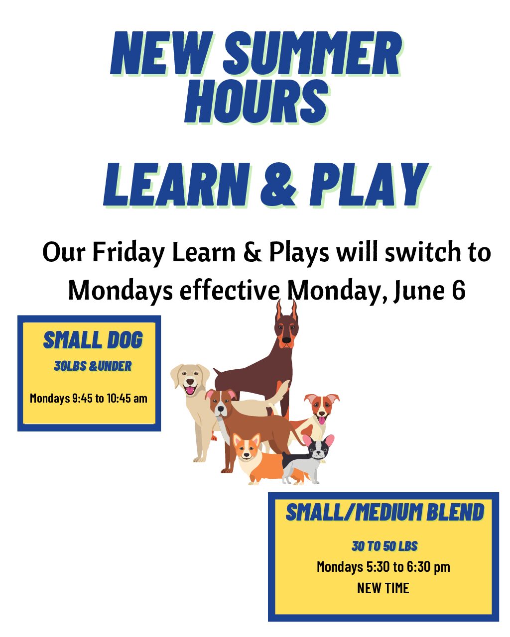 Summer Hours Learn and Play all sessions