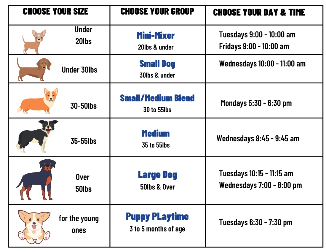 Learn & Play Schedule